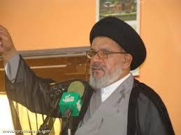 السيد حسن الزاملي
