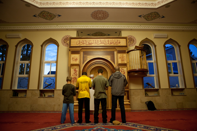 American Muslims
