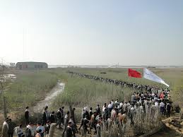 راهيان نور