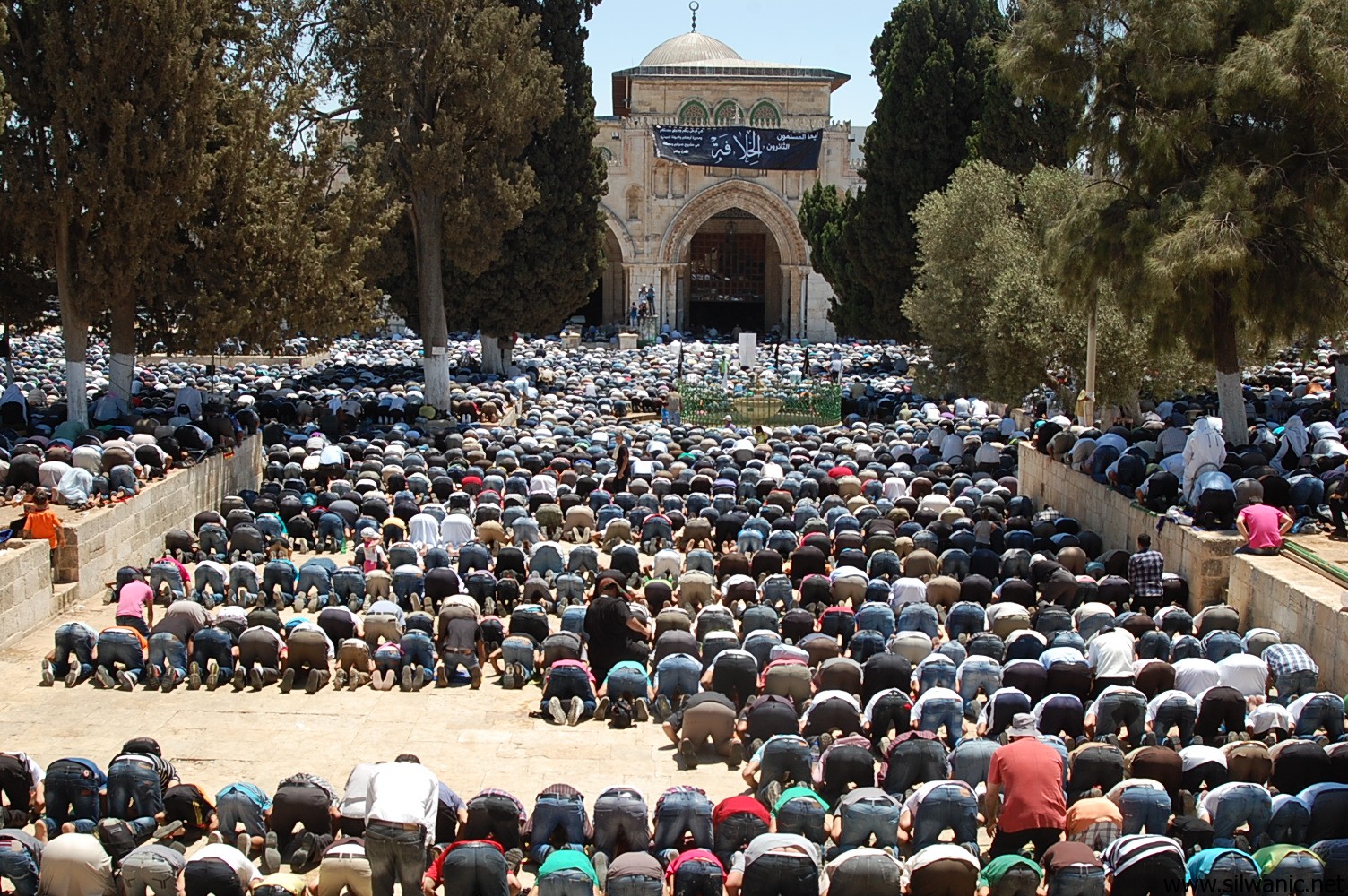 نماز فلسطين