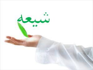 گرايش شيعه