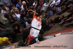 الانتفاضة الفلسطينية