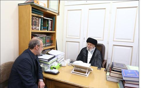 رییس مجلس شورای اسلامی با آیت الله موسوی اردبیلی دیدار کرد