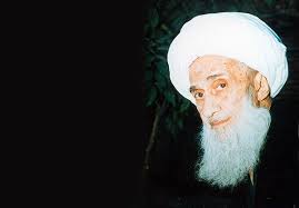 آية الله محمد حسين سيبويه