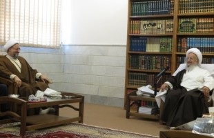 Ayatollahs Makarem and Araki