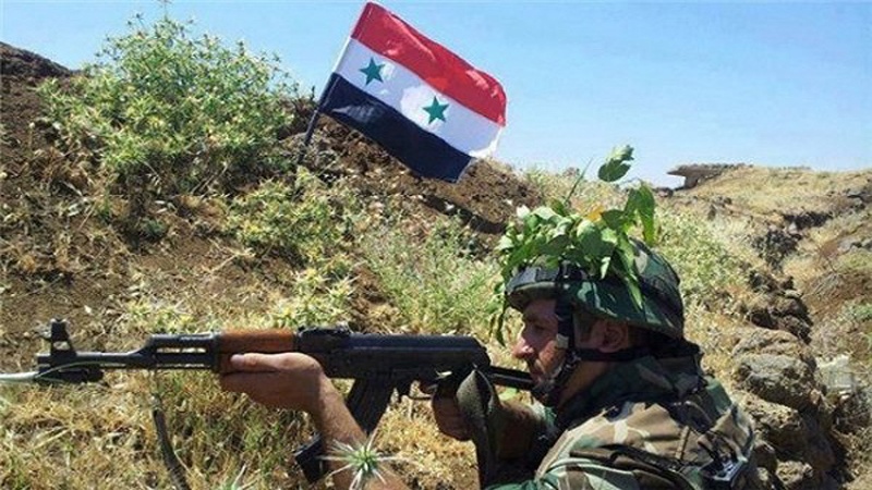 حلب شام