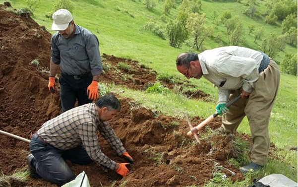 شهید شمسی پور