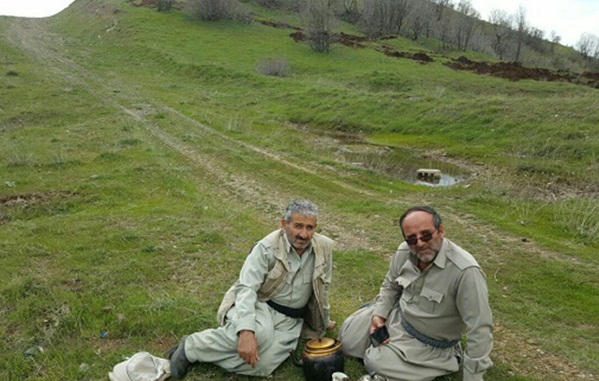 شهید شمسی پور