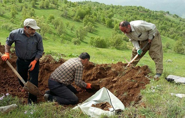 شهید شمسی پور