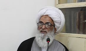 المرجع الديني اية الله الشيخ بشير النجفي