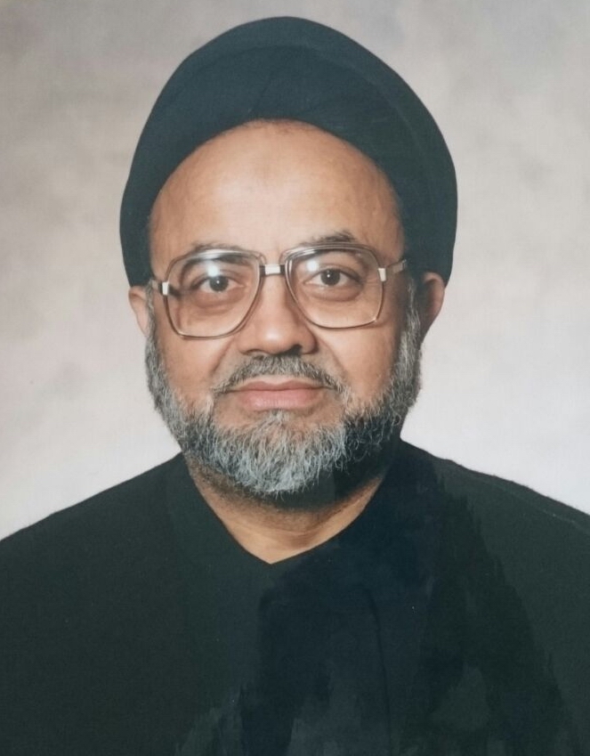 حجت الاسلام سید شمیم السبطین