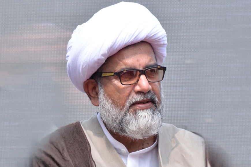 حجت الاسلام راجہ ناصر عباس جعفری