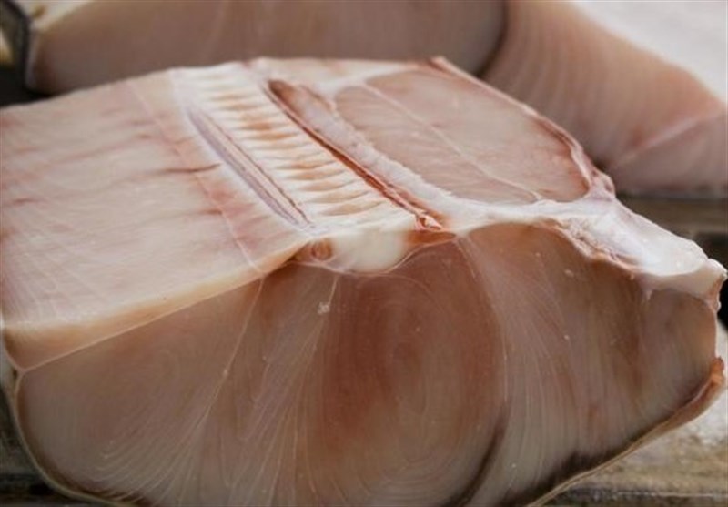 Shark meat is Haram and toxic