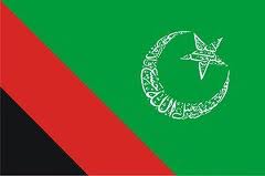 مجلس وحدت مسلمین شعبہ خواتین