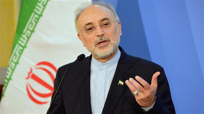 The file photo shows Ali Akbar Salehi, the head of the Atomic Energy Organization of Iran (AEOI).