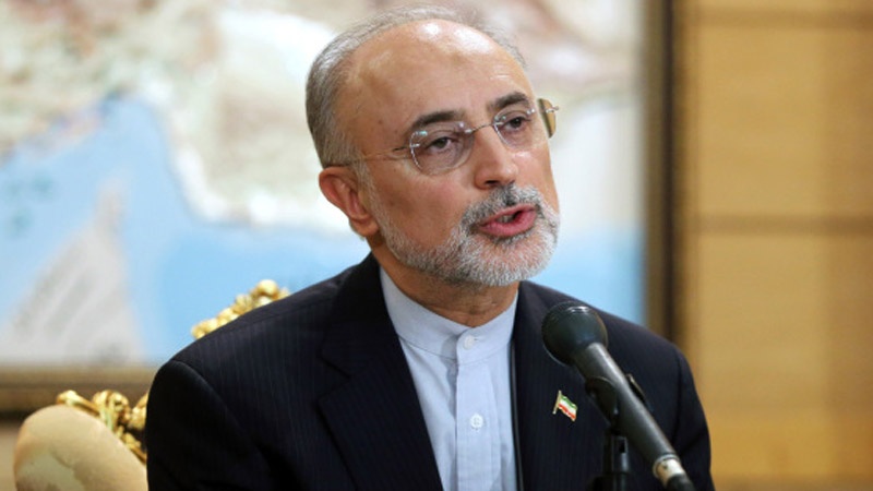  علی اکبر صالحی
