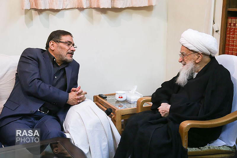 دیدار دبیر شورای عالی امنیت ملی با آیت الله صافی گلپایپانی
