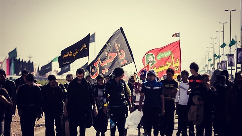 زائر