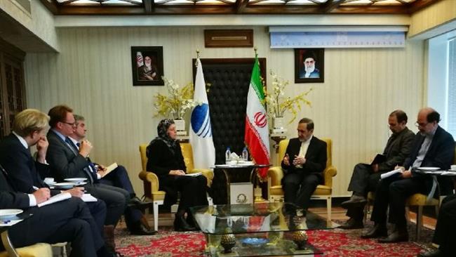 Ali Akbar Velayati (3rd R), a senior adviser to Leader of the Islamic Revolution Ayatollah Seyyed Ali Khamenei, and State Secretary for Foreign Policy at Denmark’s Ministry of Foreign Affairs Lone Dencker Wisborg (4th L) meet in Tehran on November 8, 2016. (Photo by iribnews.ir)