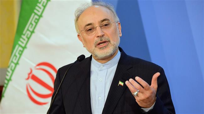 Ali Akbar Salehi, the head of the Atomic Energy Organization of Iran
