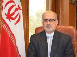 غلامرضا انصاری سفیر ایران در هندوستان