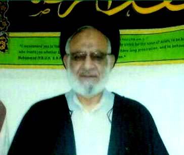 حجۃ السلام و المسلمین مولانا سید مقصود علی رضوی