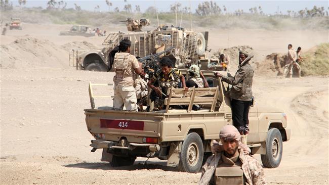 Pro-Saudi militants are seen during an offensive in the southeastern port of Mokha, Yemen, on January 23, 2017. (Photo by AFP)