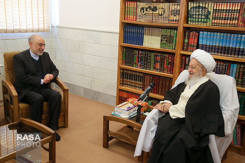 Ayatollah Makarem and Ali-Akbar Salehi