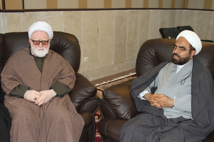 انصاری راد