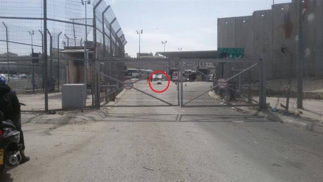 A Palestinian woman lies on the ground after being shot by Israeli forces at the Qalandiya checkpoint in the occupied West Bank. (Photo by Quds Press news agency)