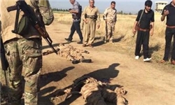 هلاکت عوامل انتحاری داعش در استان کربلا