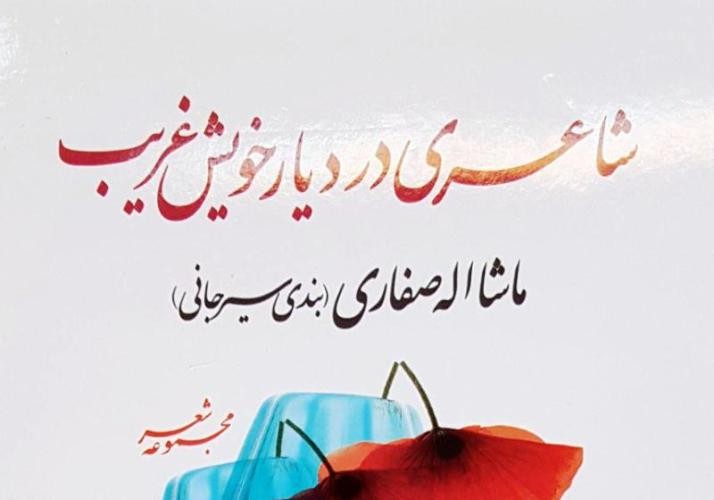 مجموعه «شاعری در دیار خویش غریب»