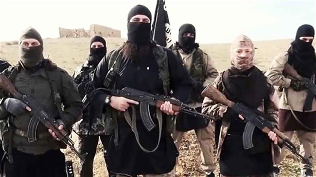 Daesh terrorists