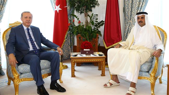This handout photo taken and released by Turkey