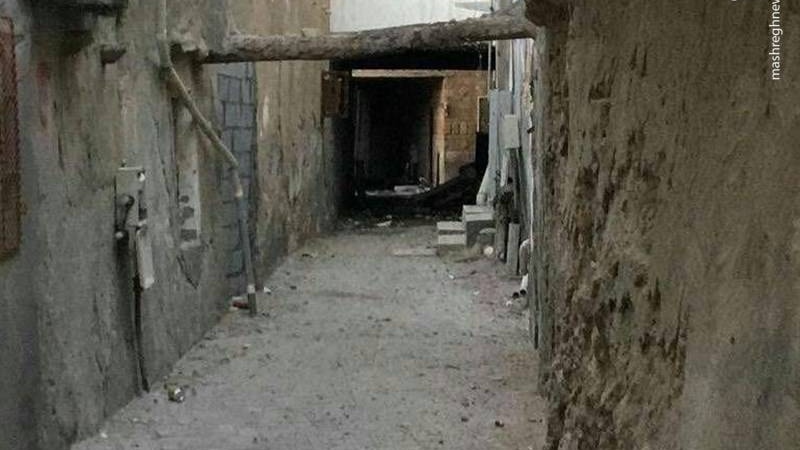 العوامیہ سعودیہ 