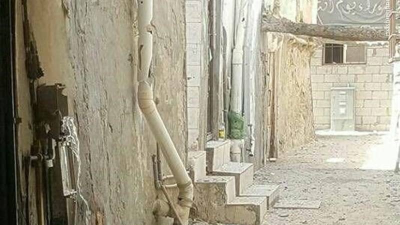 العوامیہ سعودیہ 