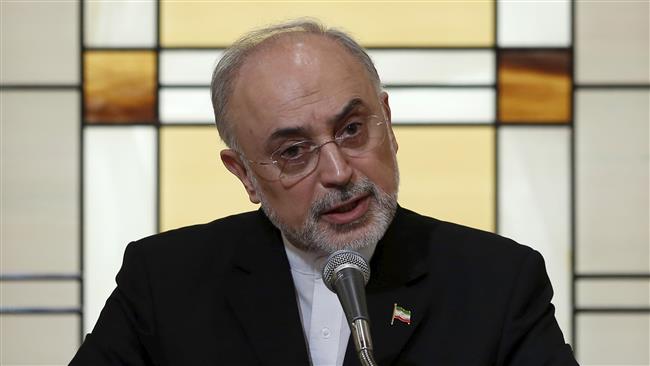 Head of the Atomic Energy Organization of Iran Ali Akbar Salehi