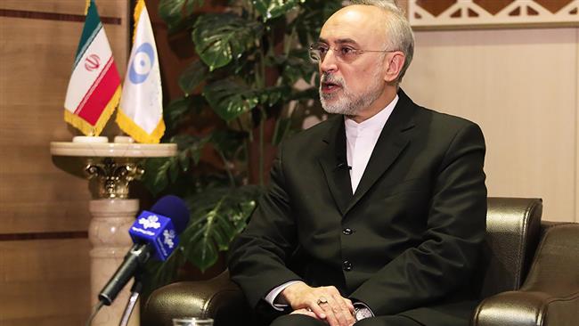 Ali Akbar Salehi, the head of the Atomic Energy Organization of Iran (AEOI), speaks in an interview with the IRIB News Agency, in Tehran, August 22, 2017.