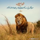 حدیث / شجاع ترین مردم