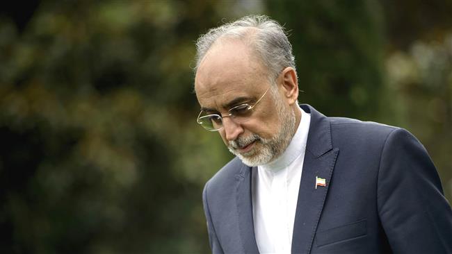 File photo shows Atomic Energy Organization of Iran Director Ali Akbar Salehi.