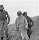 دیدنی/ تصویری دیده نشده از شهید محراب آیت الله مدنی در جبهه های جنگ تحمیلی