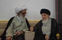 حضرت آیات شیخ بشیر نجفی و سید محمد سعید حکیم از مراجع تقلید نجف اشرف