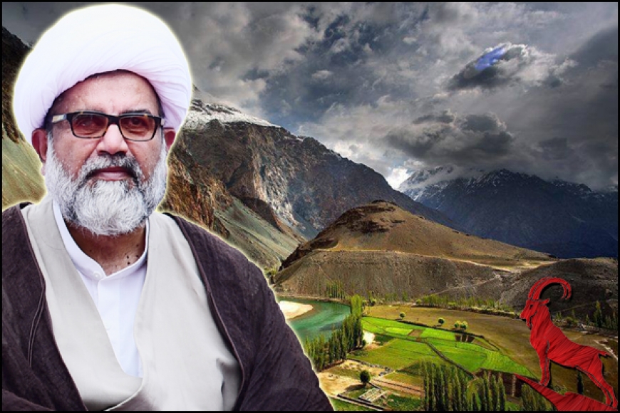 حجت الاسلام راجہ ناصر عباس جعفری