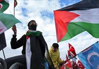 تظاهرات در حمایت از فلسطین