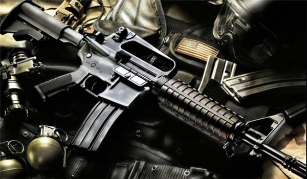 Weapons Gins Rifles
