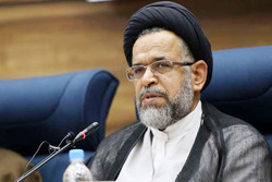 حجت الاسلام سید محمود علوی