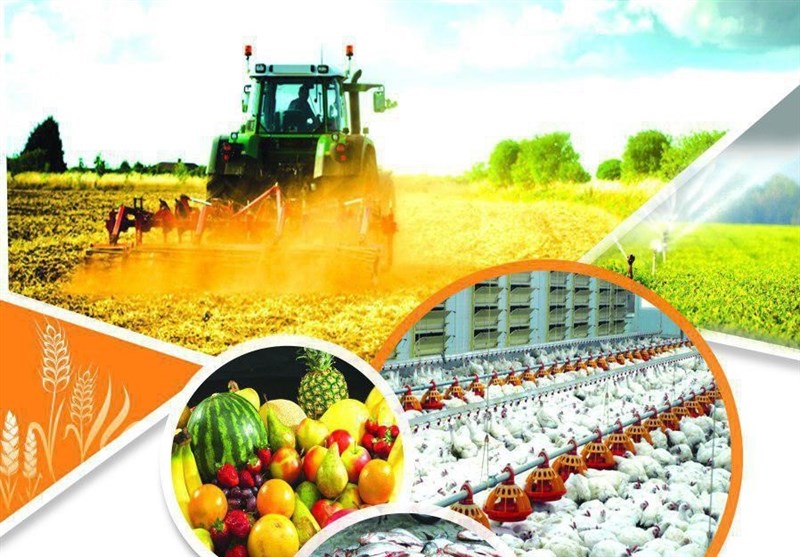 Iranian agriculture