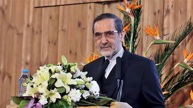 Ali Akbar Velayati, a senior adviser to Leader of the Islamic Revolution Ayatollah Seyyed Ali Khamenei on international affairs