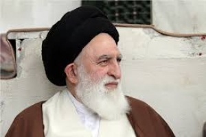 السيد محمد جواد العلوي البروجردي