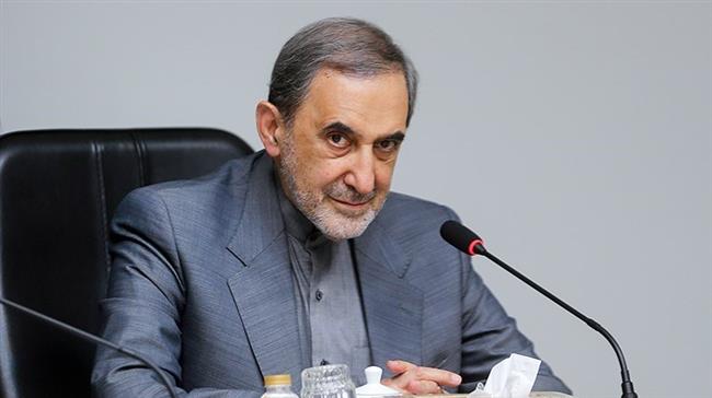 Ali Akbar Velayati, a senior adviser to Leader of the Islamic Revolution Ayatollah Seyyed Ali Khamenei (Photo by Tasnim news agency)